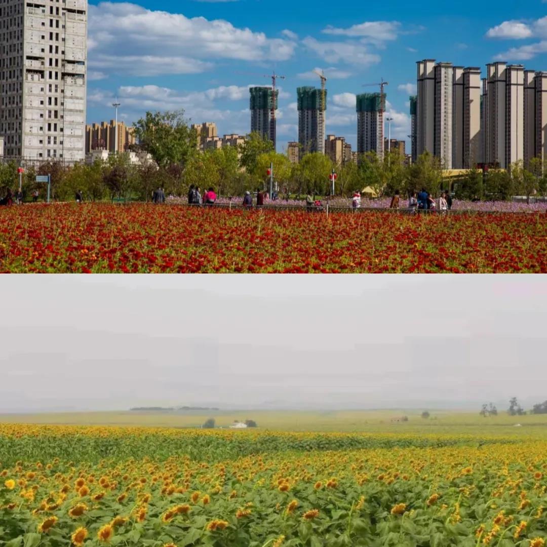 微信图片_20210916141408.jpg 微信图片_20210916141408.jpg