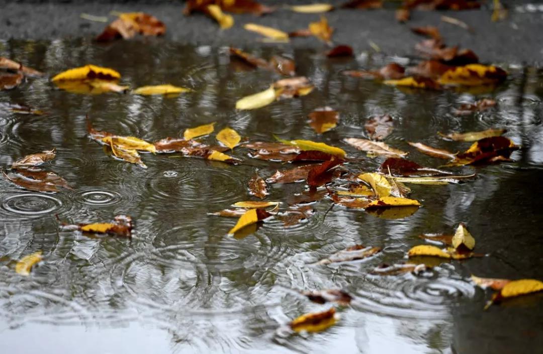 微信图片_20210927174730.jpg 微信图片_20210927174730.jpg