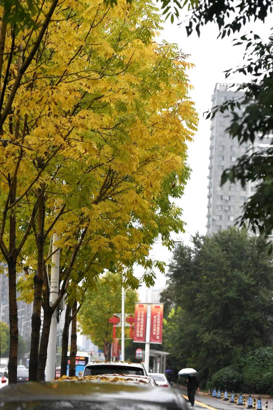 微信图片_20210927174757.jpg 微信图片_20210927174757.jpg